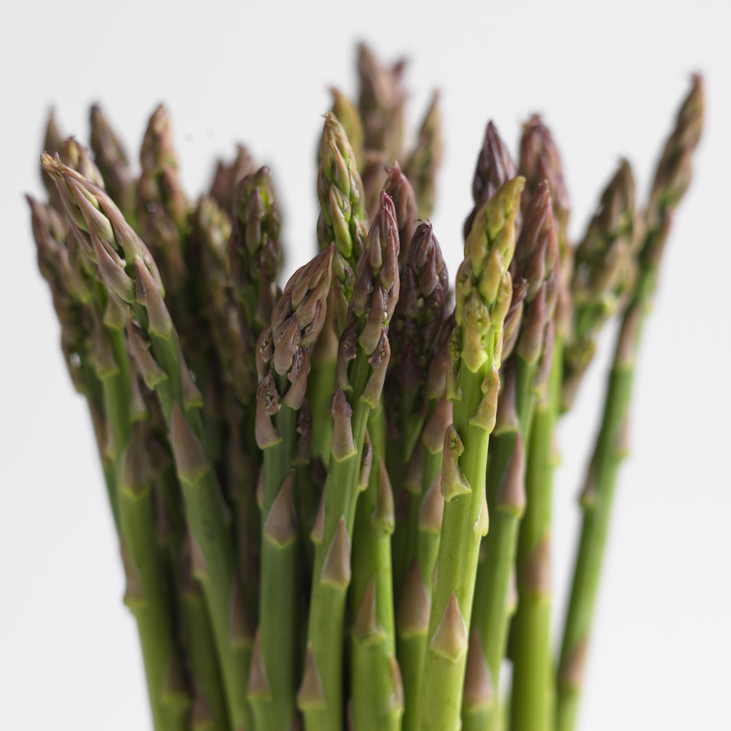 Asparagus