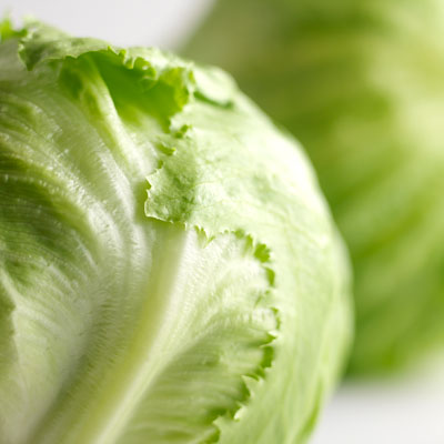 Iceberg Lettuce