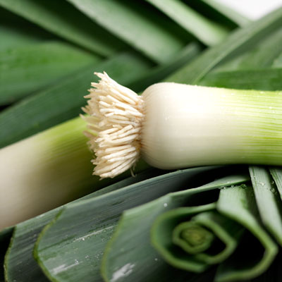 Leek