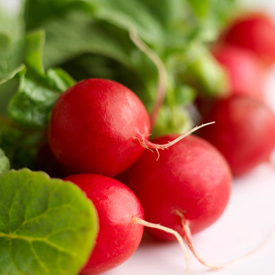 Radishes