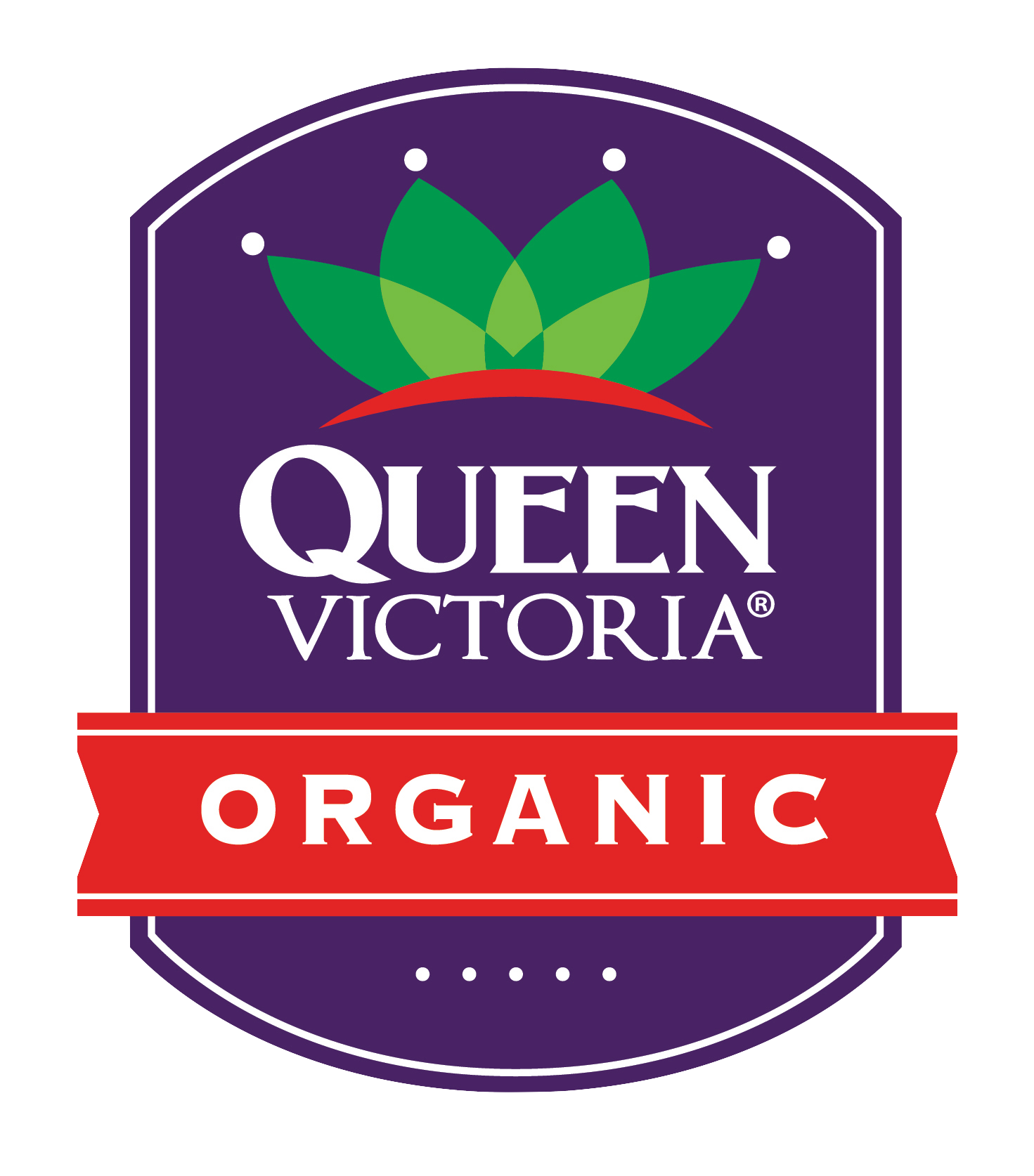 Field Fresh Vegetables Ippolito International