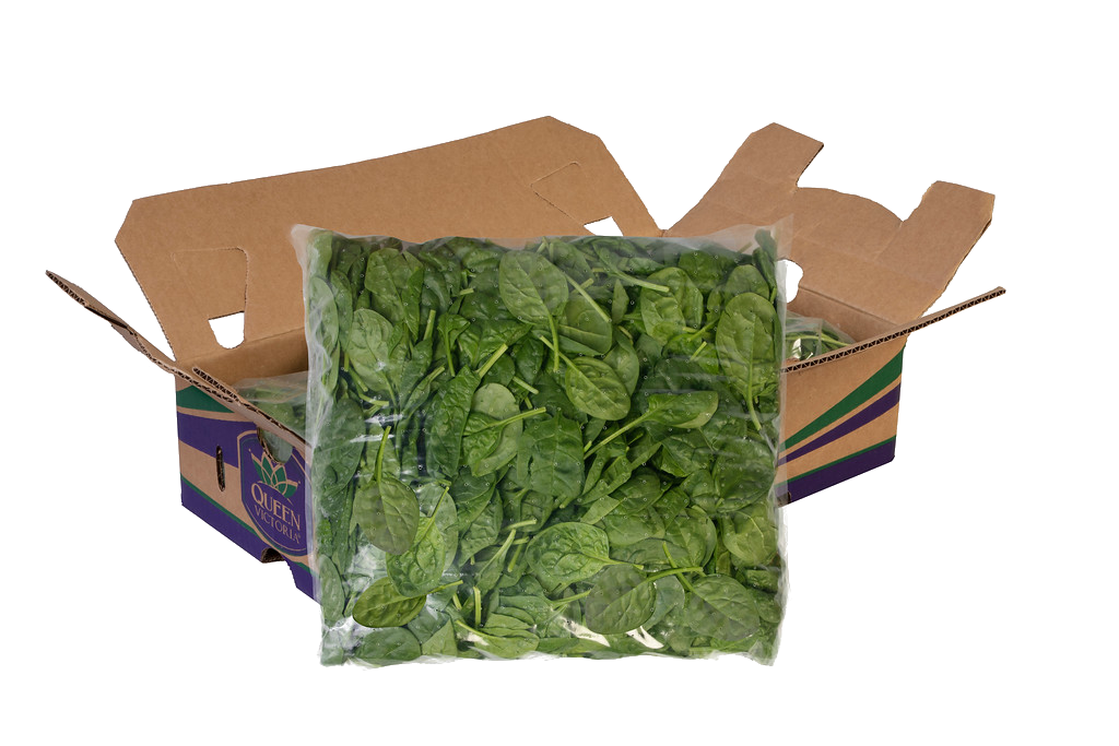 Foodservice Spinach 2 lb bag