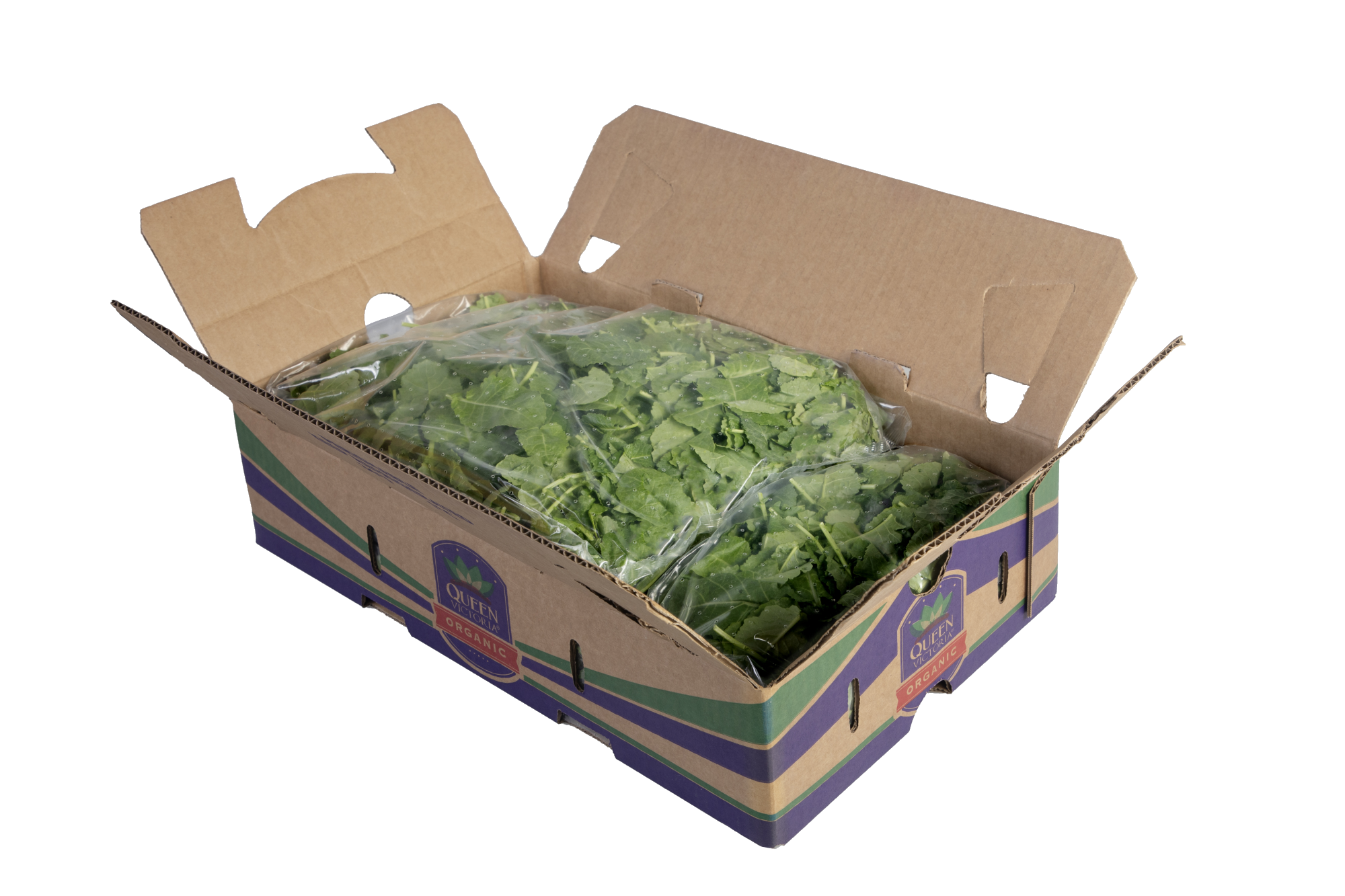 Foodservice Organic Baby Kale