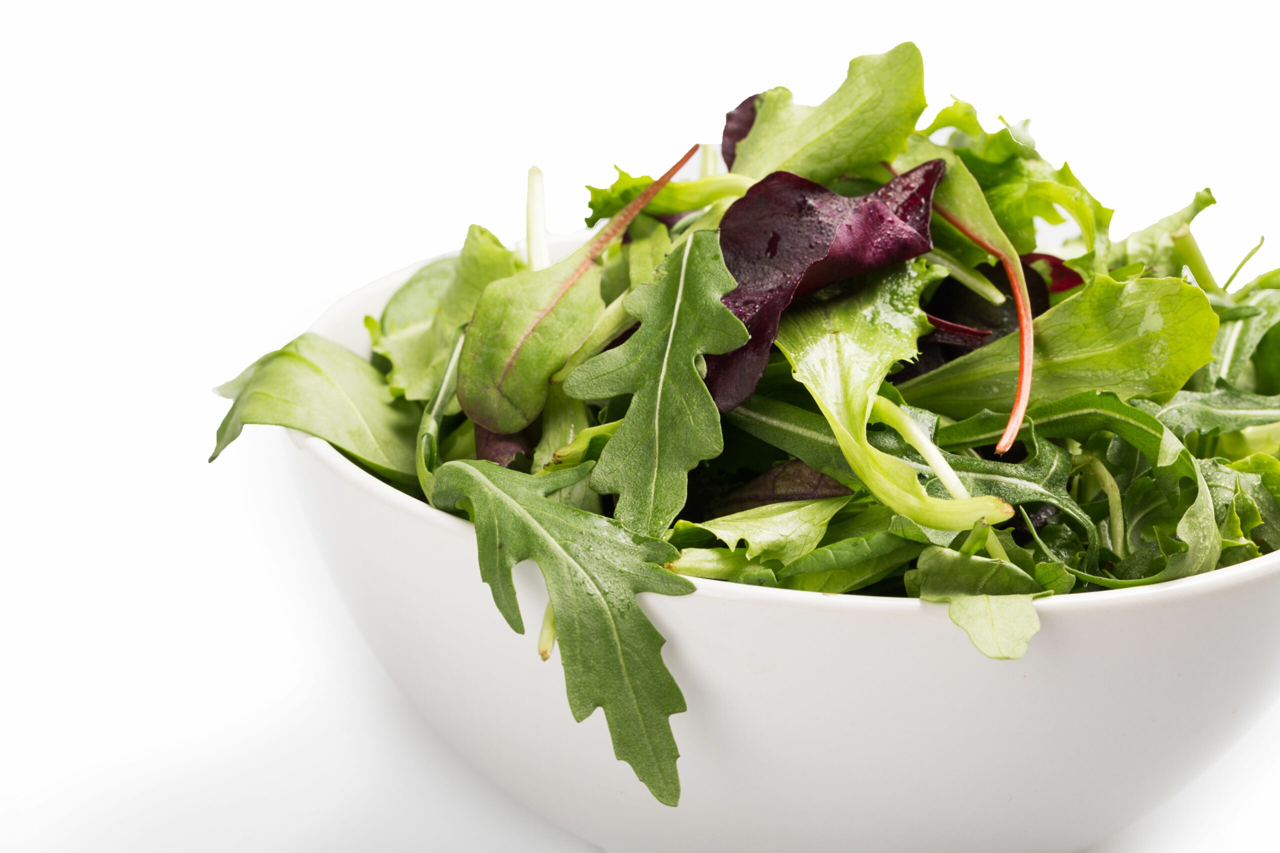 Foodservice Salad Mix In Bowl